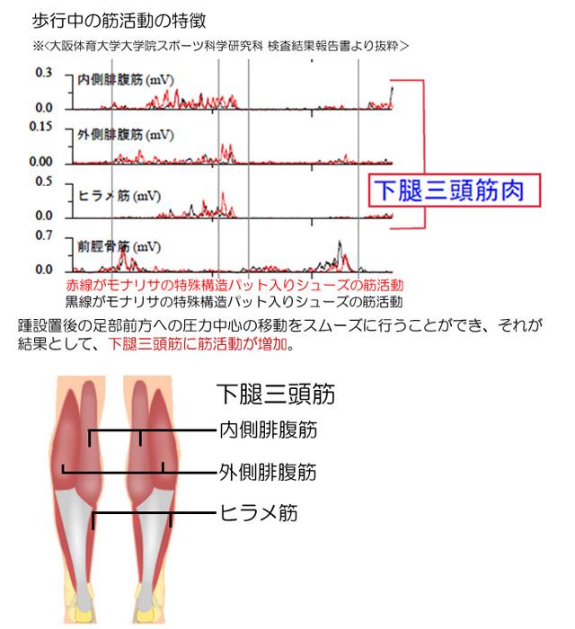 ウォーキングパンプスの筋活動に与える影響<歩行時>